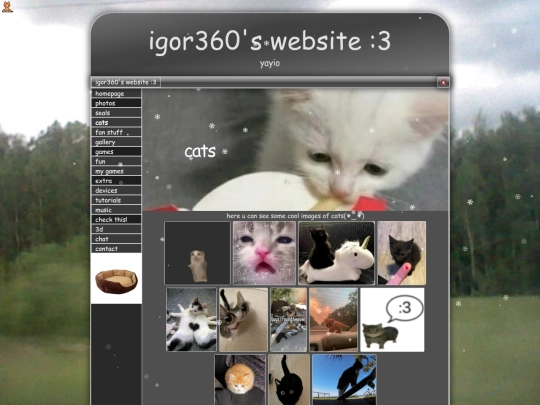 archive/1/cat screenshot