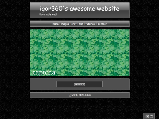 captcha screenshot