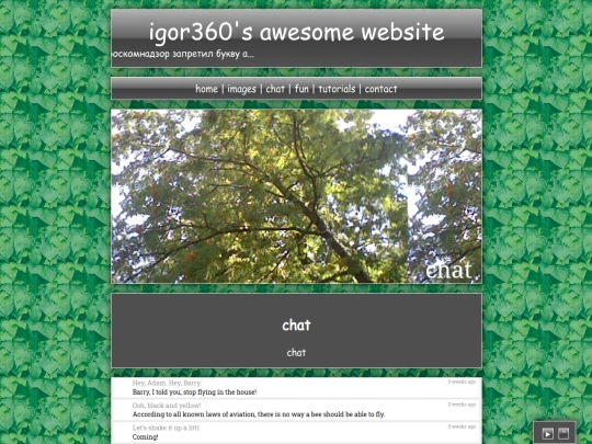 chat screenshot