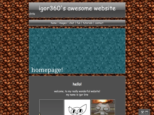 home screenshot