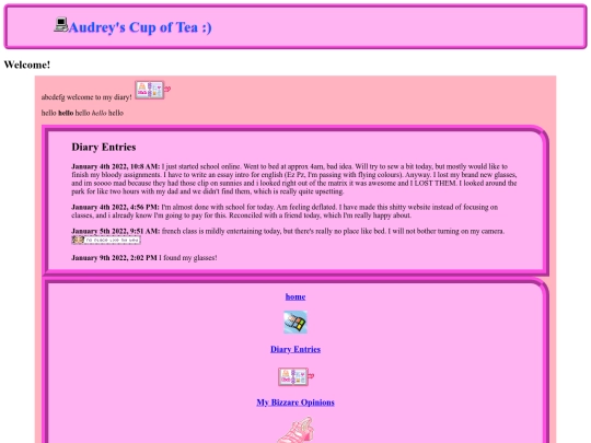 diarypage screenshot