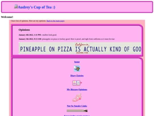opinions screenshot