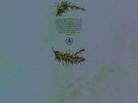 121 screenshot
