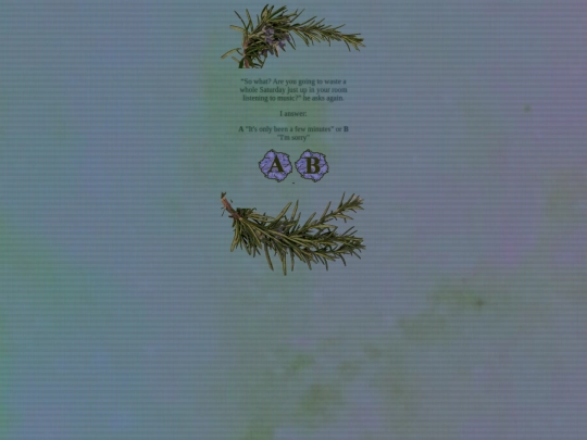 211 screenshot