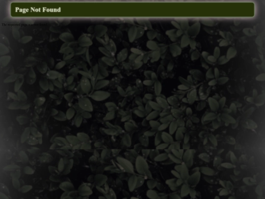 not_found screenshot