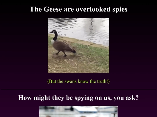 Spies_Page screenshot