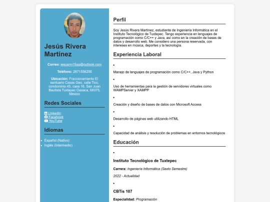 cv_rmj screenshot