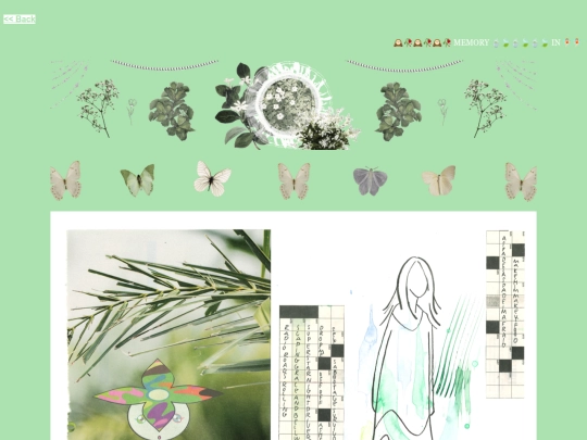 Memory In Petal/memoryinpetal screenshot