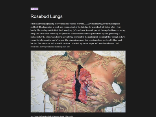Rosebud Lungs/rosebudlungs screenshot
