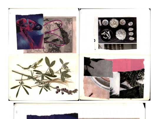 Sketchbook Project/sketchbookproject screenshot