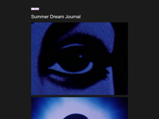 Summer Dream Journal/summerdreamjournal screenshot