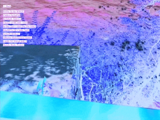 kolaj screenshot