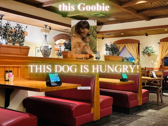 Goobie screenshot