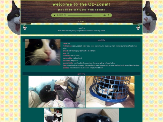 ozzone screenshot