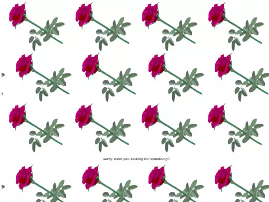 404 screenshot