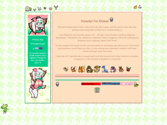 about_us/Riskei screenshot
