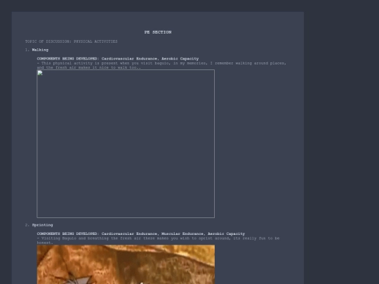 sections/pe-section screenshot