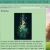The Legend of Zelda: Ocarina of Time - Información Completa avatar