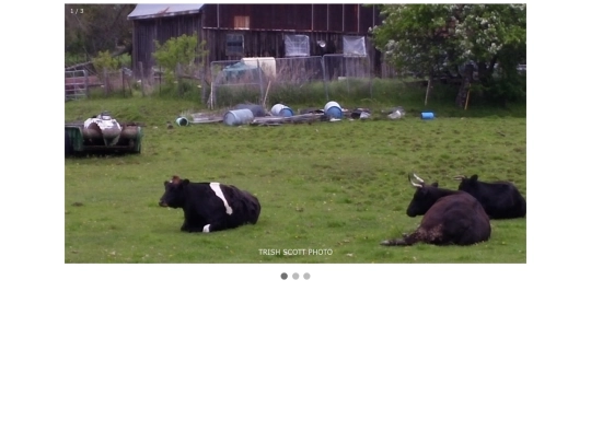 AUTOIMAGESLIDESHOW screenshot