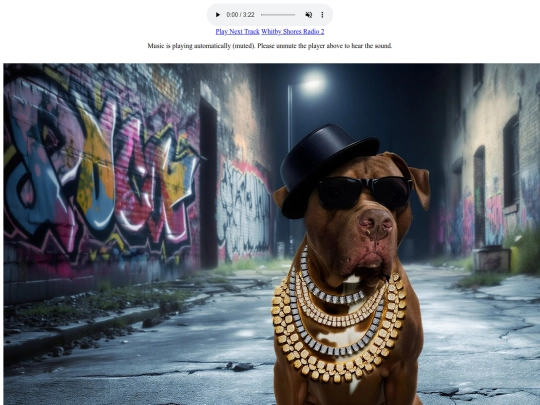 RAPRADIO screenshot