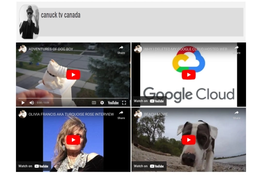 YOUTUBESHUFFLE screenshot