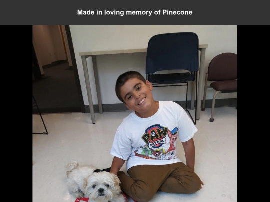 pinecone screenshot