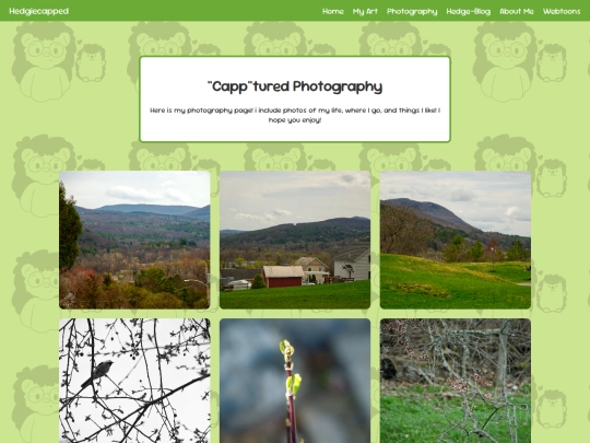 capptured screenshot
