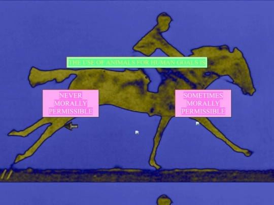 animals screenshot