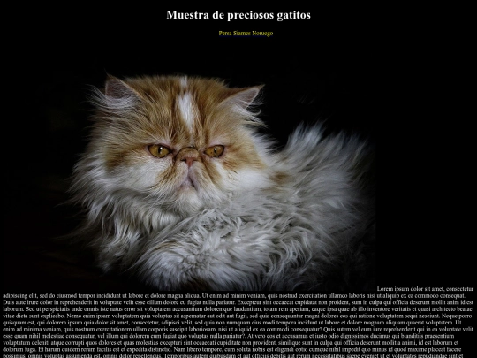 Examen screenshot