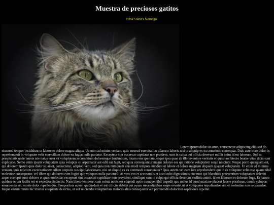 Examen/noruego screenshot