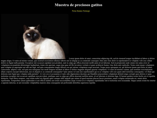 Examen/siames screenshot