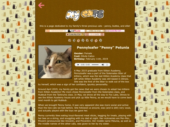 mels-place/mystuff/mycats screenshot
