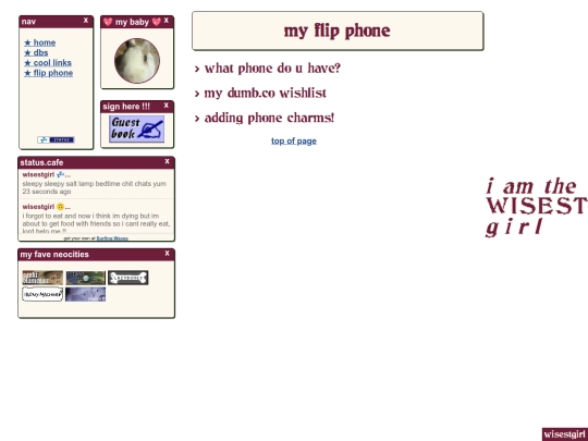flip screenshot