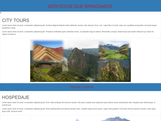 servicios screenshot