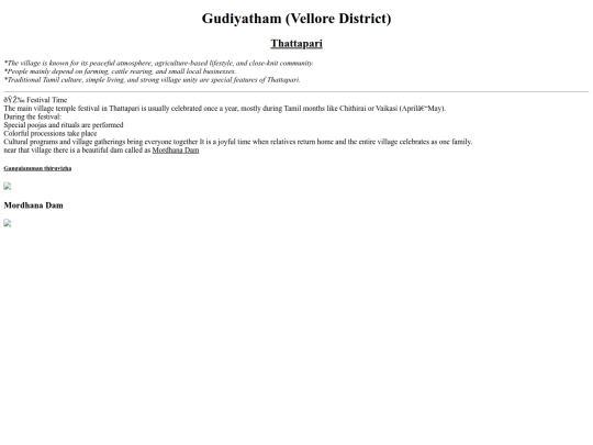 sem 4/html/village screenshot
