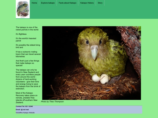 CCIU303Web_A2_5077620_RongGe screenshot
