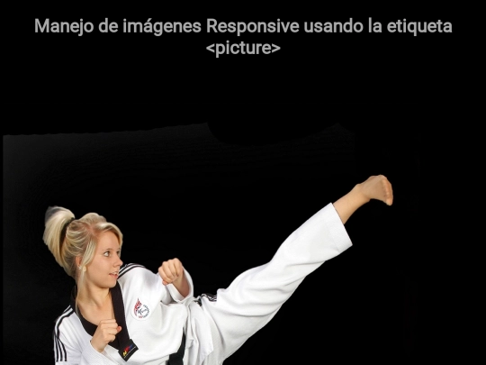 modulo2/imagenes_responsive screenshot