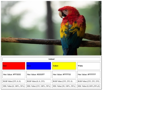 Color-Scheme-Assignment/ColorSchemeAssignment screenshot