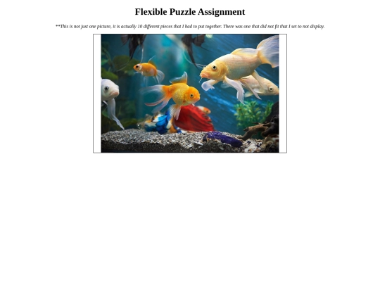 Flexible-Puzzle-Assignment/FlexiblePuzzleAssignment screenshot