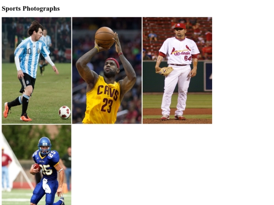 Starter-Gallery-Assignment/StarterGalleryAssignment screenshot