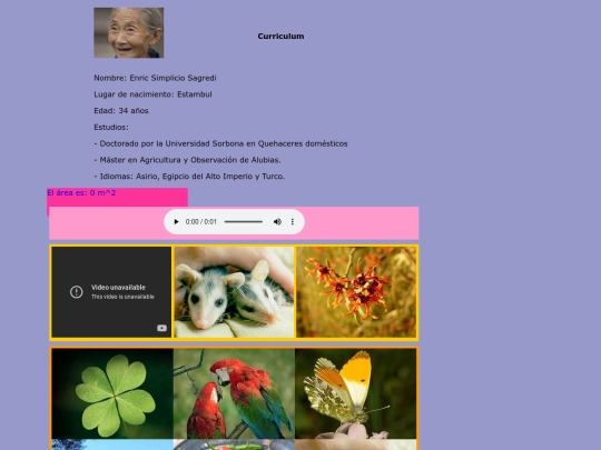 javascript screenshot