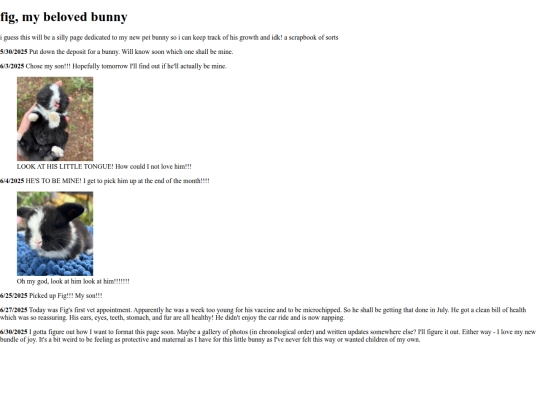 bunny screenshot