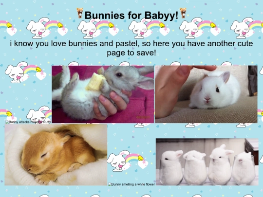 extra/bunnies screenshot