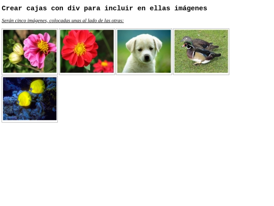 Seg_web/pag_divs_imagenes screenshot