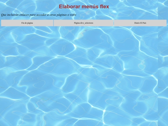 Seg_web/pag_menus_flex screenshot
