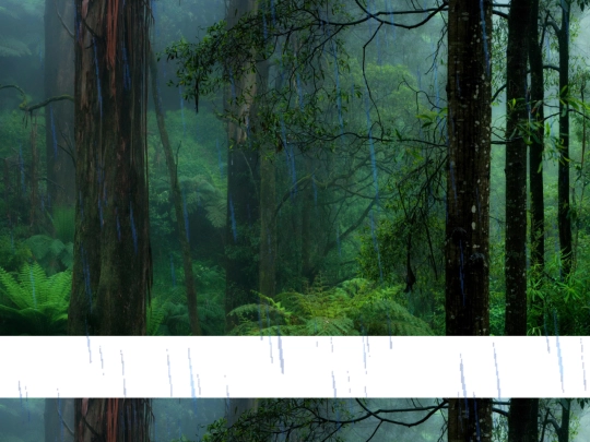 sitemap screenshot