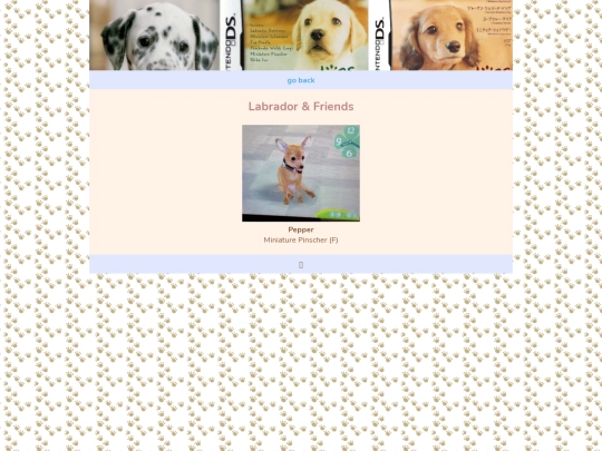 nintendogs/nintendogs2005/labradorandfriends screenshot