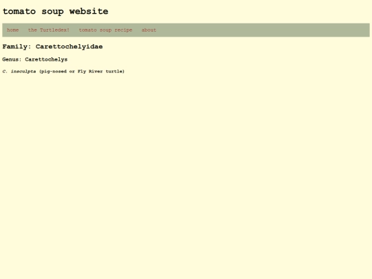 turtledex/Carettochelyidae screenshot