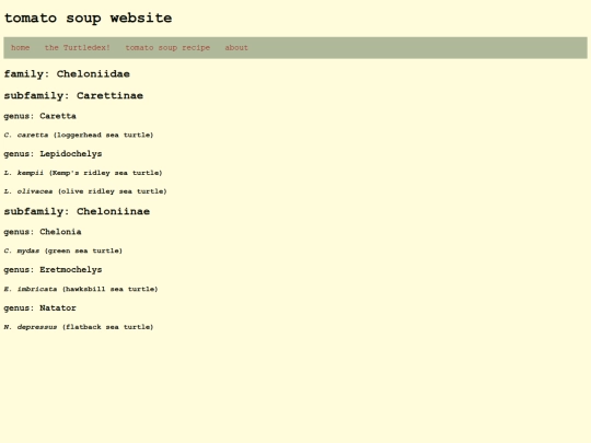 turtledex/Cheloniidae screenshot