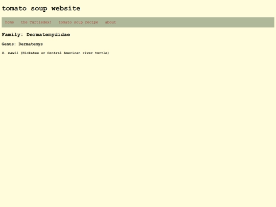 turtledex/Dermatemydidae screenshot